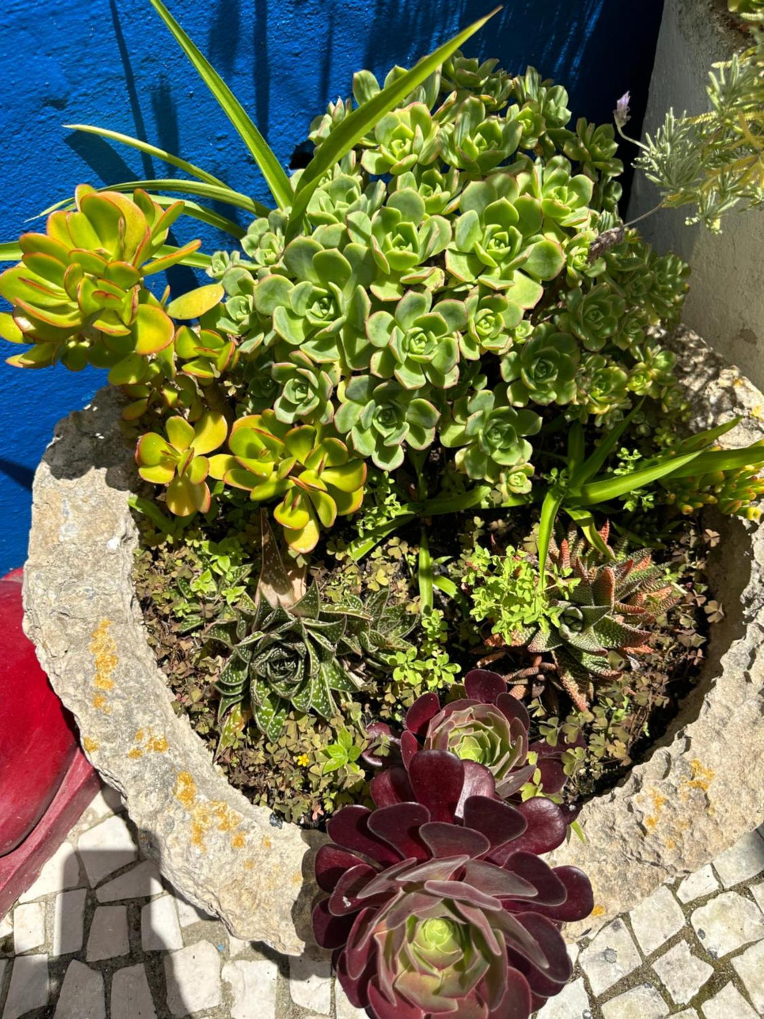 Casa Do Poco Bed & Breakfast Obidos Ngoại thất bức ảnh